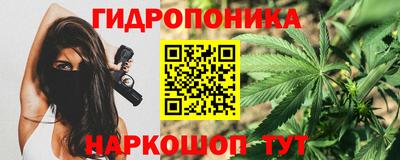 шишки Уссурийск